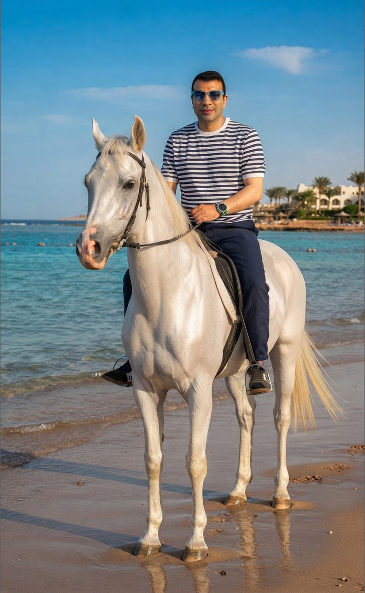 Ahmed Abdekmoneim Image Example
