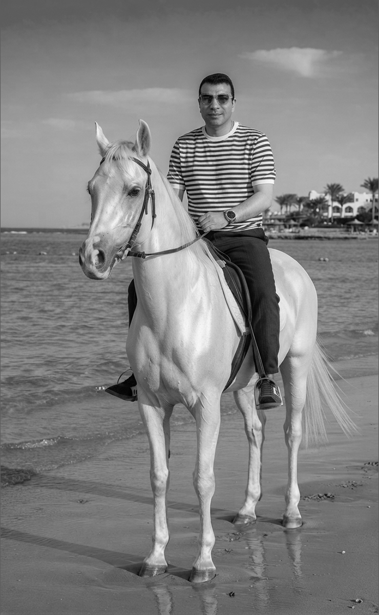 Ahmed Abdekmoneim Image Example